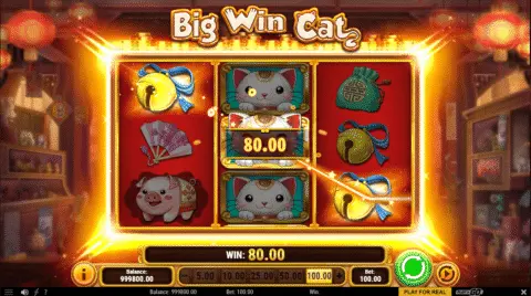 Big Win Cat Slot Game