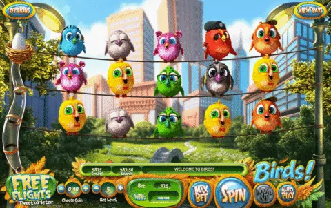 Birds! Slot Game