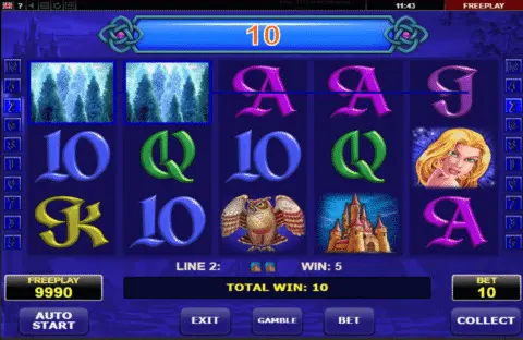 Book Of Fortune Slot Game