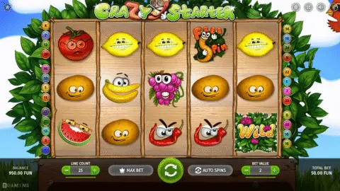Crazy Starter Slot Game
