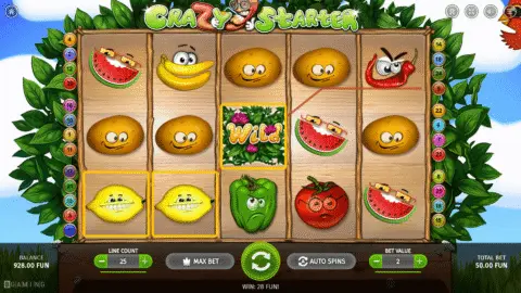 Crazy Starter Slot Game Free Spins