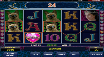 Diamond Cats Slot Game