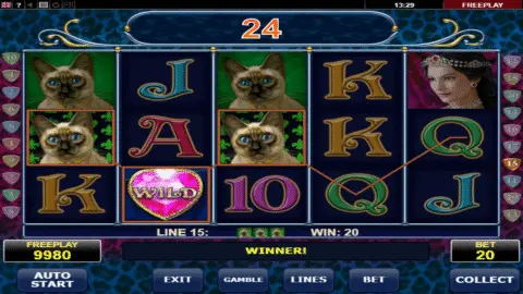 Diamond Cats Slot Game