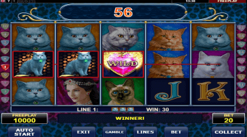 Diamond Cats Slot Game Free Spins