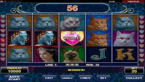 Diamond Cats Slot Game Free Spins