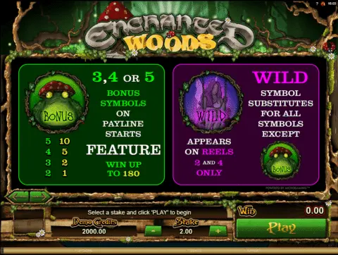 Play Enchanted Woods Slot