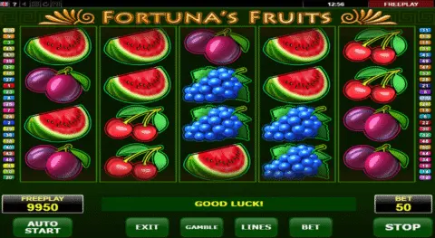 Fortunas Fruits Slot Game