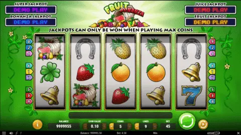 Fruit Bonanza Slot Game