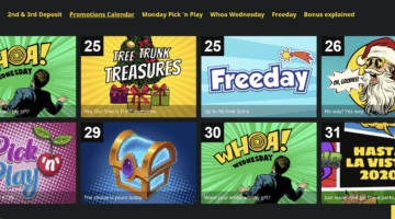 Whamoo Casino Promotions