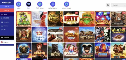 Evospin Casino Slot Games