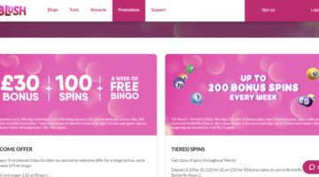 Blush Bingo Casino Promotions