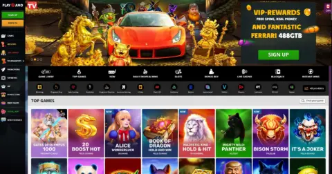 Playamo Casino Free Spins